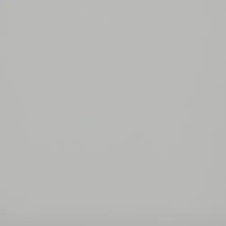 МДФ панель Evosoft EVS004 Горный Хрусталь матовый (18*2800*1220) Kastamonu