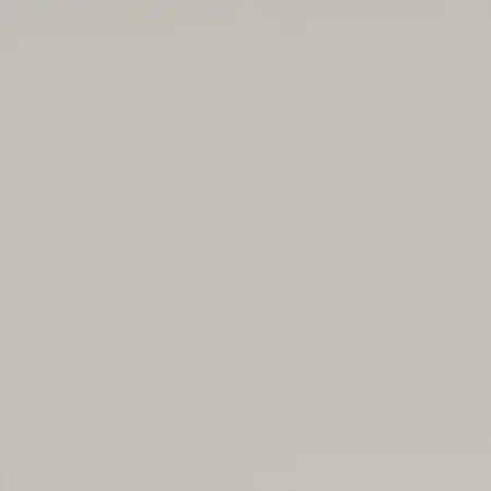 МДФ панель Evosoft EVS001 Белый Фарфоровый Оникс матовый (18*2800*1220) Kastamonu