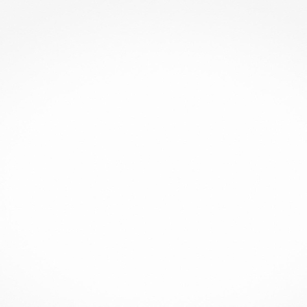 ЛДСП Swiss Krono Белый корпус K110 PE (2750*1830*10мм)